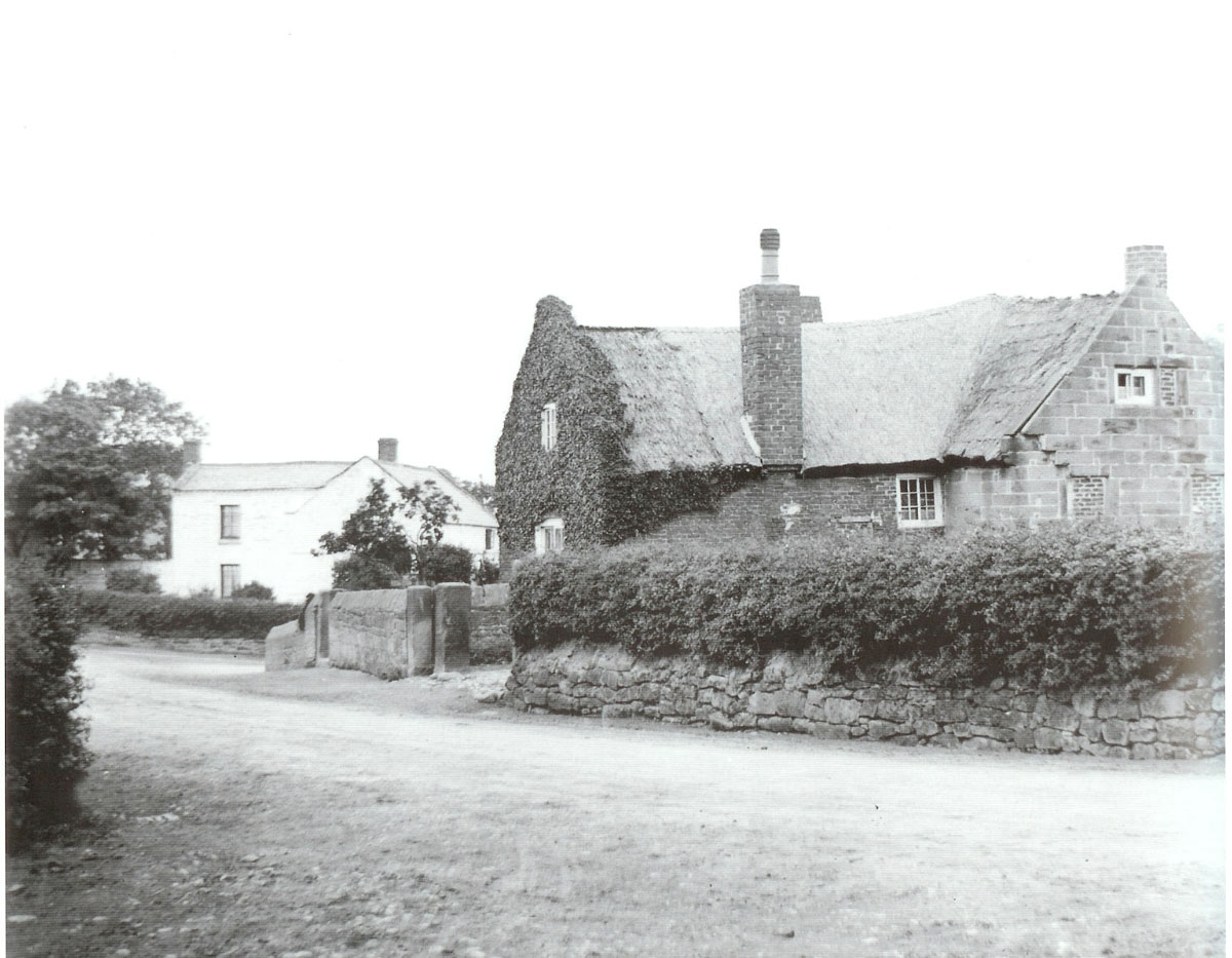 old Ivy Cottage